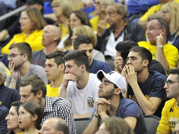 Michigan Fans