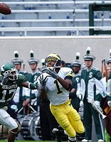 Braylon Edwards (1)
