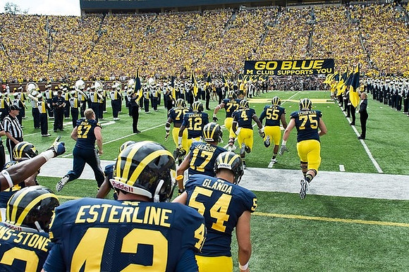Michigan Team