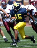 Steve Breaston (15)