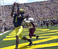Braylon Edwards (1)