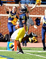 Steve Breaston (15)