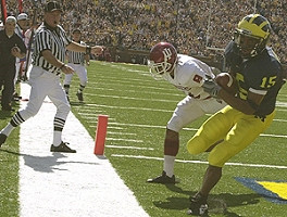 Steve Breaston (15)