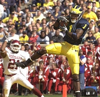 Braylon Edwards (1)