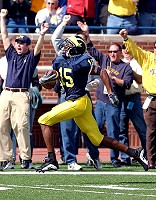 Steve Breaston (15)