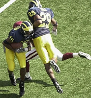 Steve Breaston (15) and Leon Hall (29)
