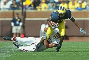Steve Breaston (15)