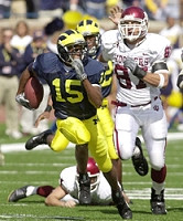 Steve Breaston (15)
