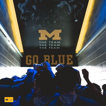 Michigan Team
