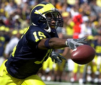 Steve Breaston (15)