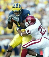 Braylon Edwards (1)
