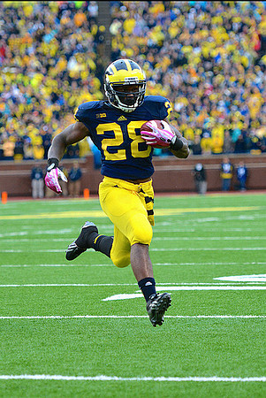 Fitzgerald Toussaint (28)