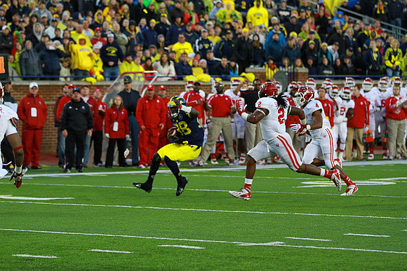 Fitzgerald Toussaint (28)