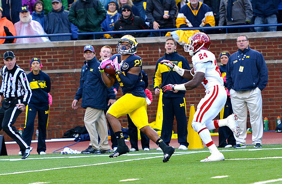 Jeremy Gallon (21)