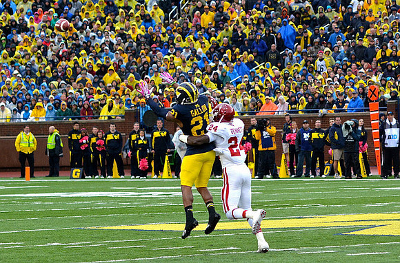 Jeremy Gallon (21)
