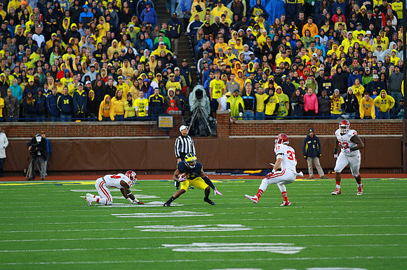 Jeremy Gallon (21)