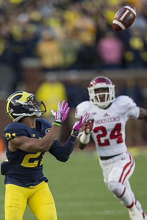 Jeremy Gallon (21)