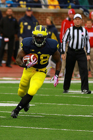 Fitzgerald Toussaint (28)
