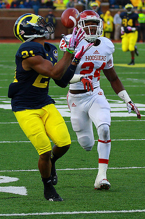Jeremy Gallon (21)