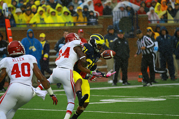 Jeremy Gallon (21)