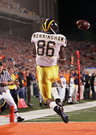 Mario Manningham