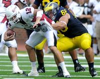 Mike Martin (68)