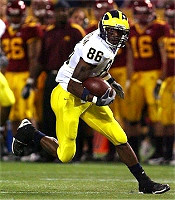 Mario Manningham