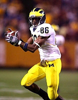 Mario Manningham