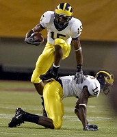Steve Breaston and Adrian Arrington