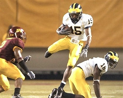 Steve Breaston and Adrian Arrington