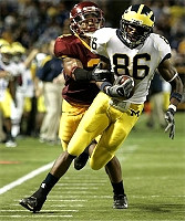 Mario Manningham