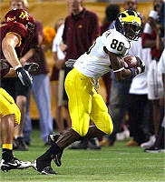 Mario Manningham