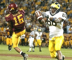Mario Manningham