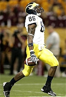 Mario Manningham