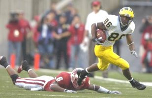 Mario Manningham (86)