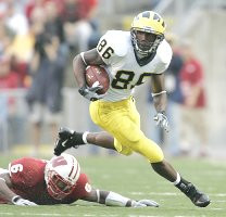Mario Manningham (86)