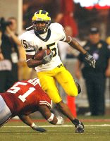Steve Breaston (15)