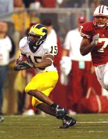 Steve Breaston (15)