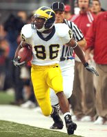 Mario Manningham (86)