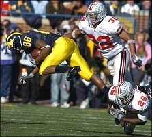 Mario Manningham