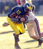 Steve Breaston