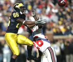 Mario Manningham