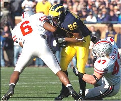 Mario Manningham