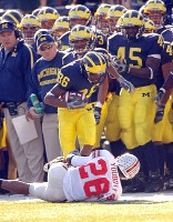 Mario Manningham