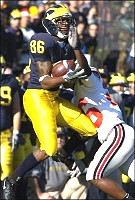 Mario Manningham