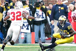 Mario Manningham