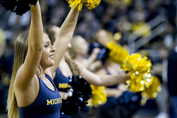 Michigan Fans