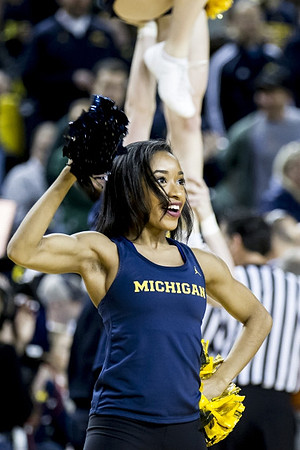 Michigan Fans