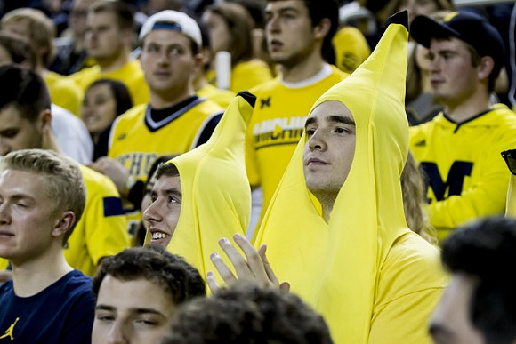 Michigan Fans