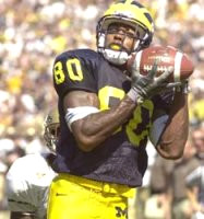 Braylon Edwards (80)
